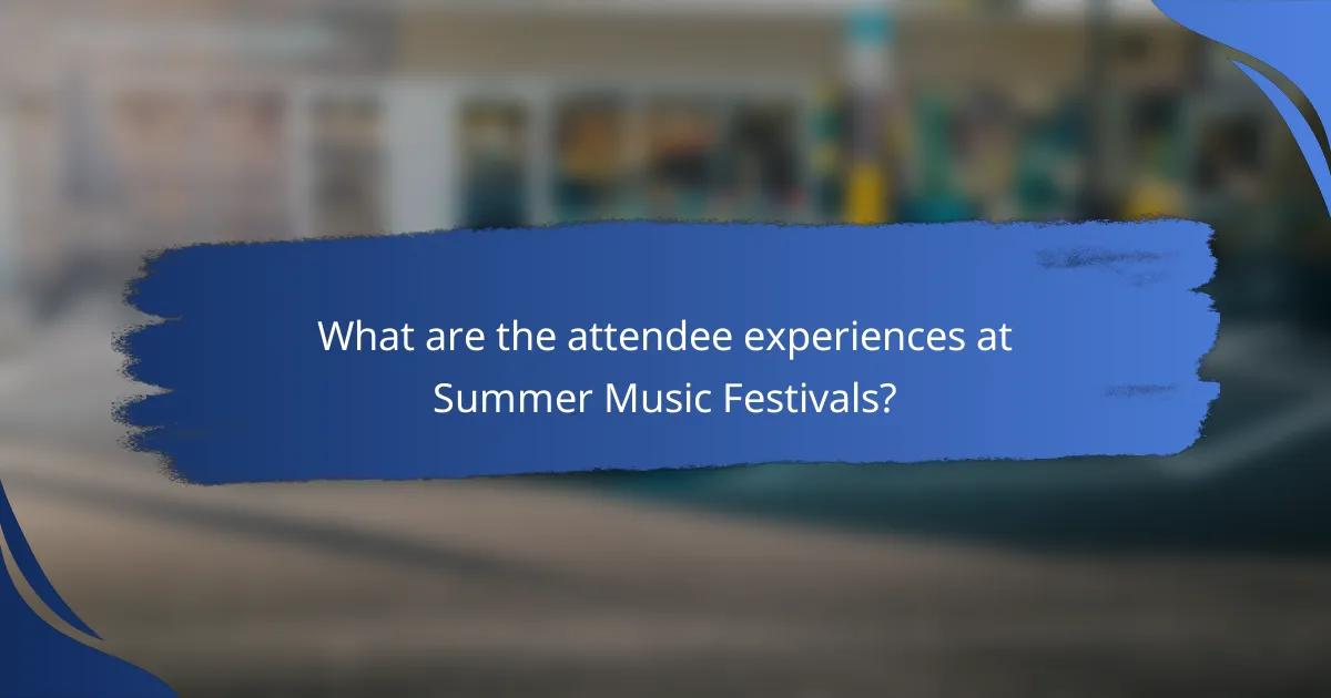 What are the attendee experiences at Summer Music Festivals?