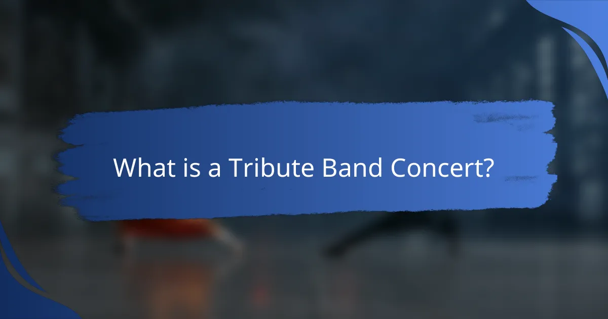 What is a Tribute Band Concert?