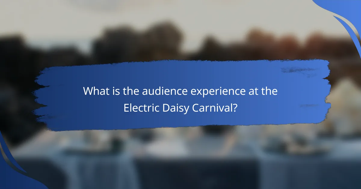 What is the audience experience at the Electric Daisy Carnival?