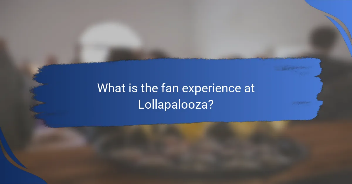 What is the fan experience at Lollapalooza?